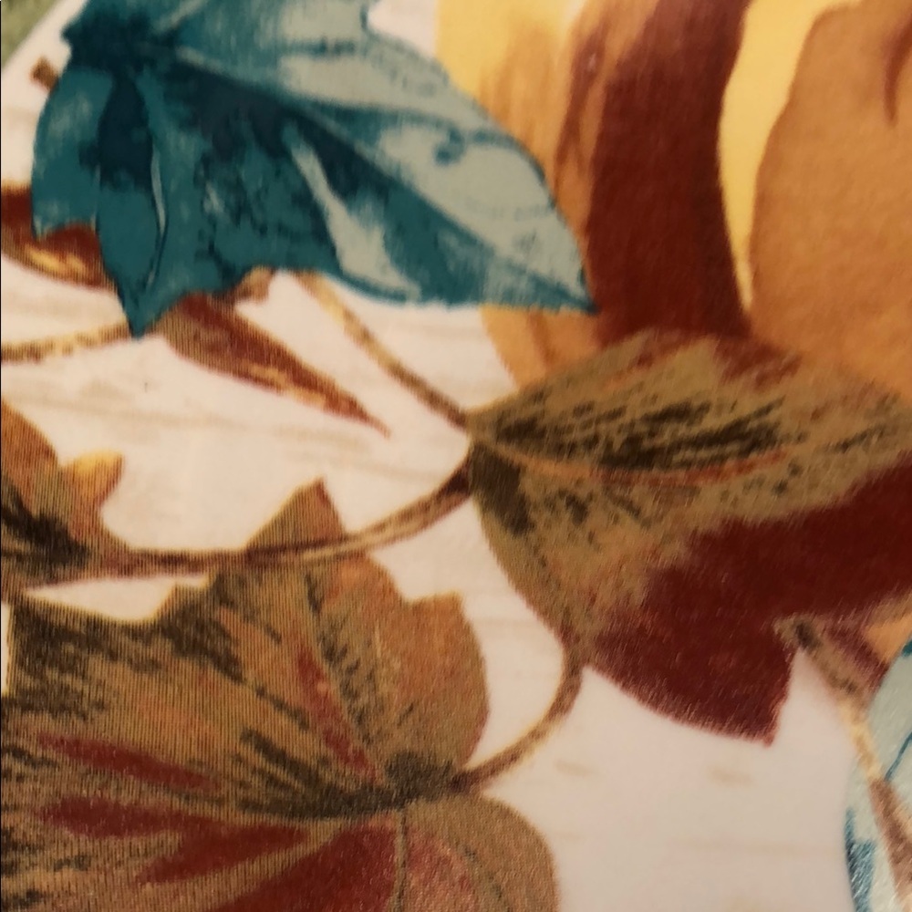 Autumn Harvest Pumpkin Dinner Plate Set - Picture 7 of 8